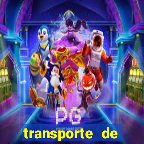 transporte de passageiros são jerônimo