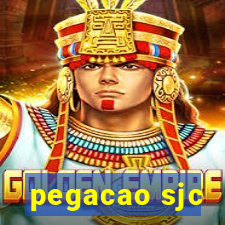 pegacao sjc