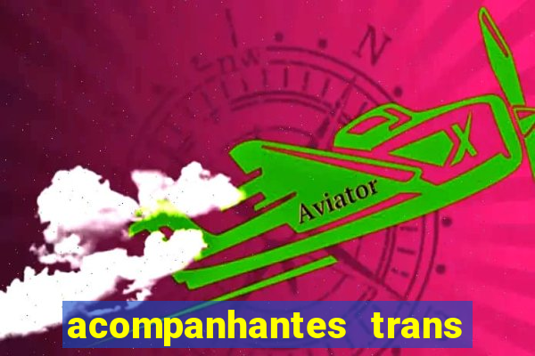 acompanhantes trans baixada fluminense