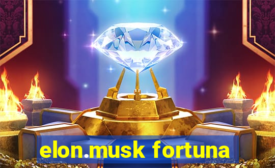 elon.musk fortuna