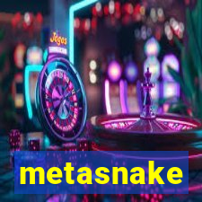 metasnake