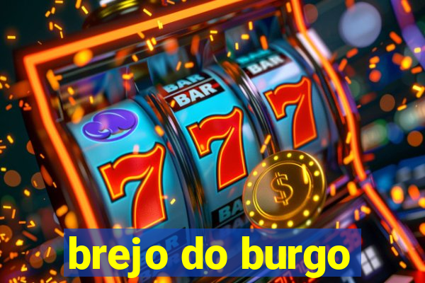 brejo do burgo