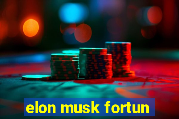 elon musk fortun