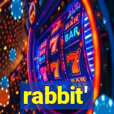 rabbit'