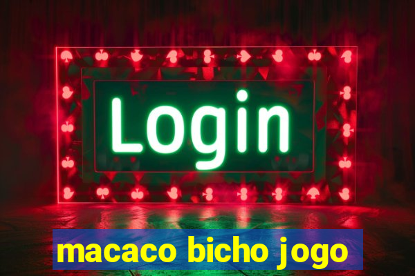 macaco bicho jogo