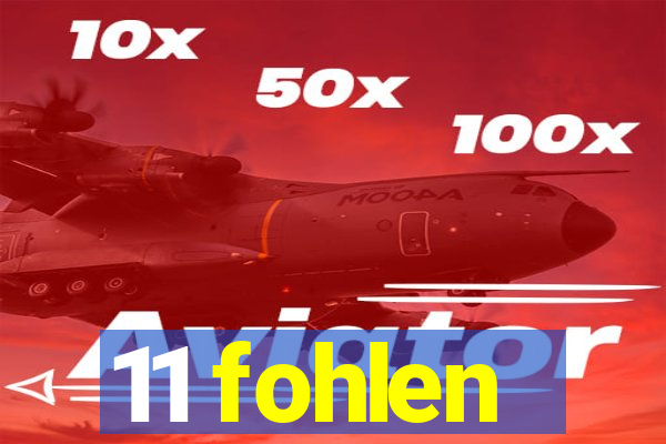 11 fohlen