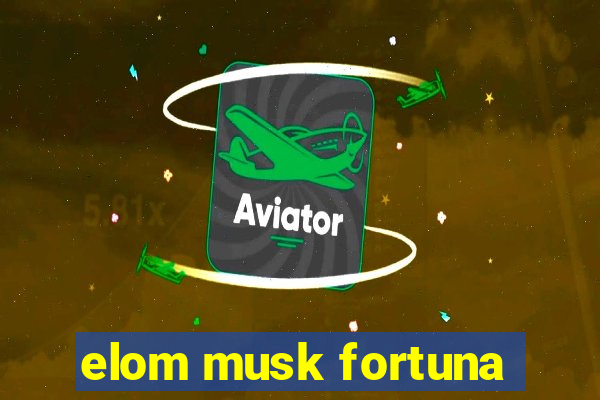 elom musk fortuna