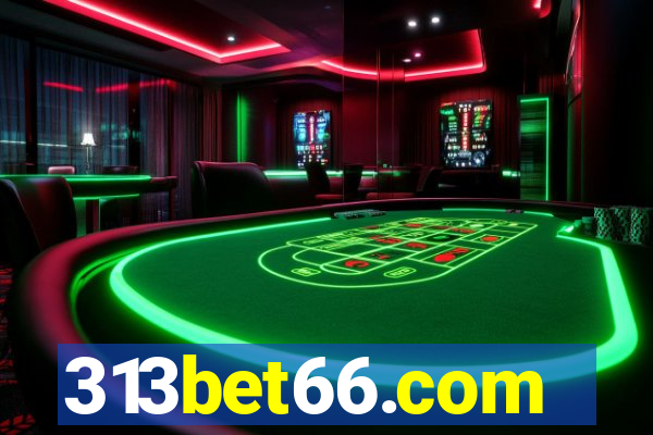 313bet66.com