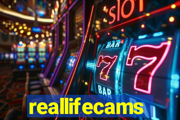 reallifecams