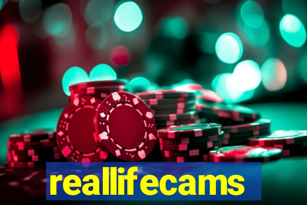 reallifecams