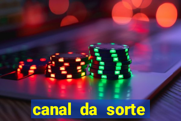 canal da sorte bingo de hoje