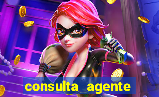 consulta agente autuador sp