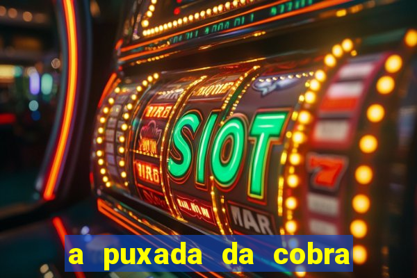 a puxada da cobra no jogo do bicho