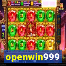 openwin999