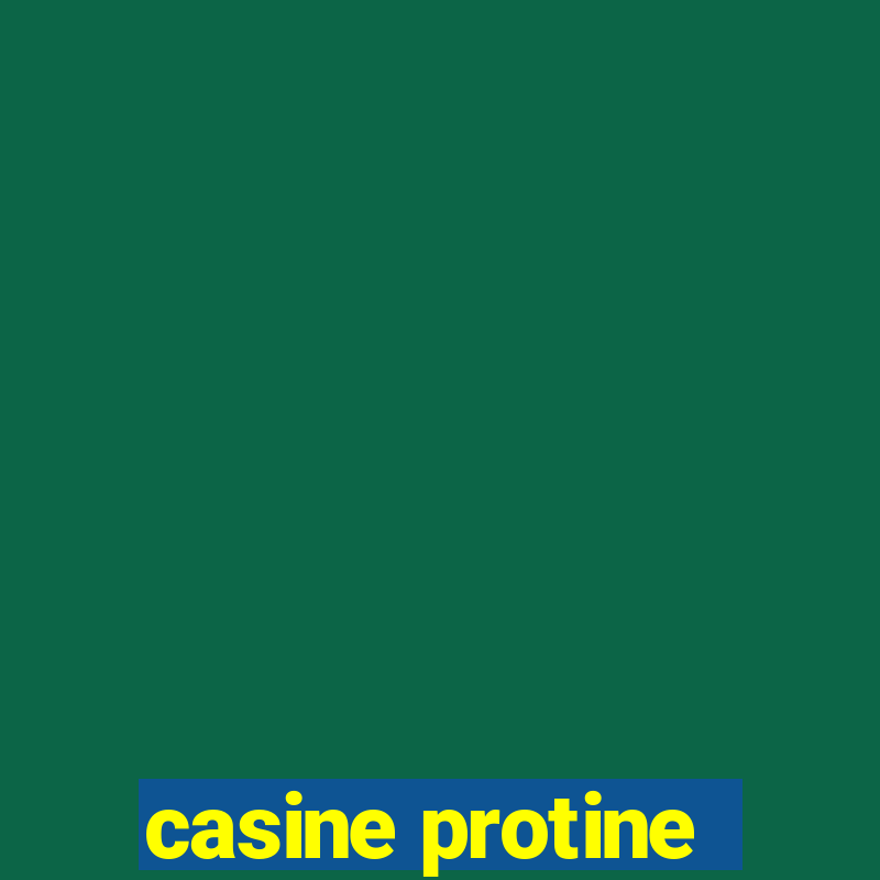 casine protine