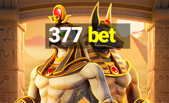 377 bet