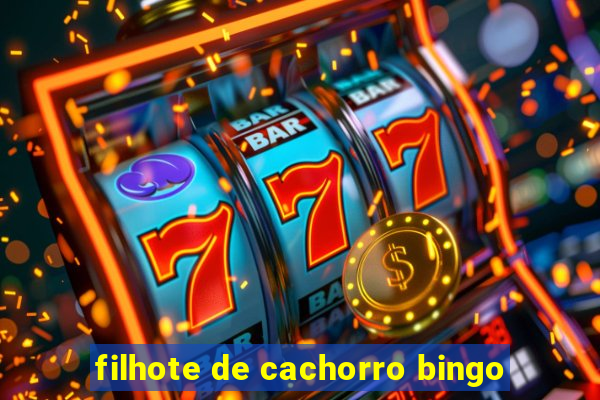 filhote de cachorro bingo