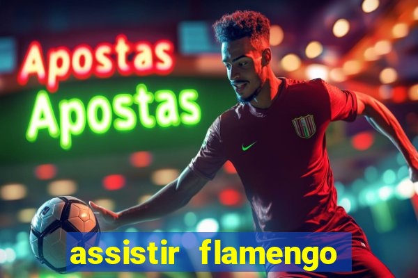 assistir flamengo futebol play hd