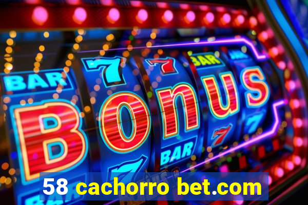 58 cachorro bet.com