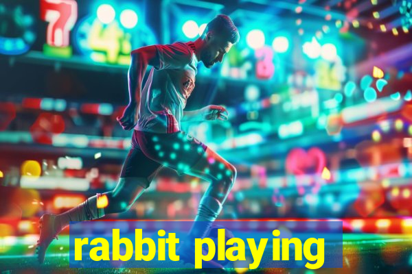 rabbit playing