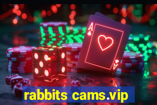 rabbits cams.vip