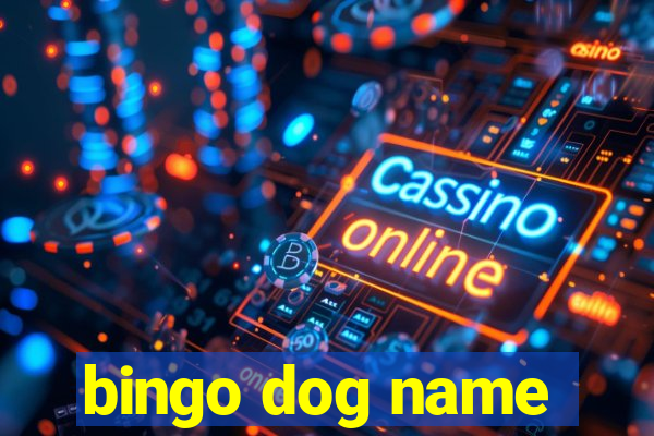 bingo dog name