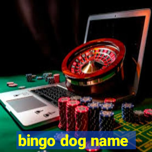 bingo dog name