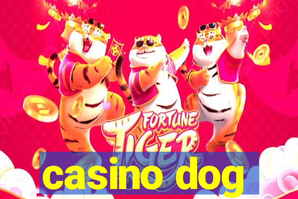 casino dog