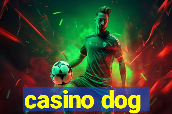 casino dog