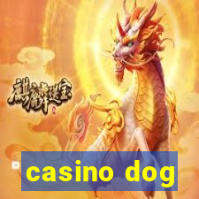 casino dog