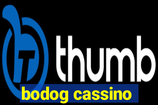 bodog cassino