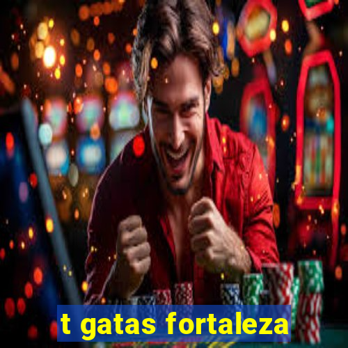 t gatas fortaleza