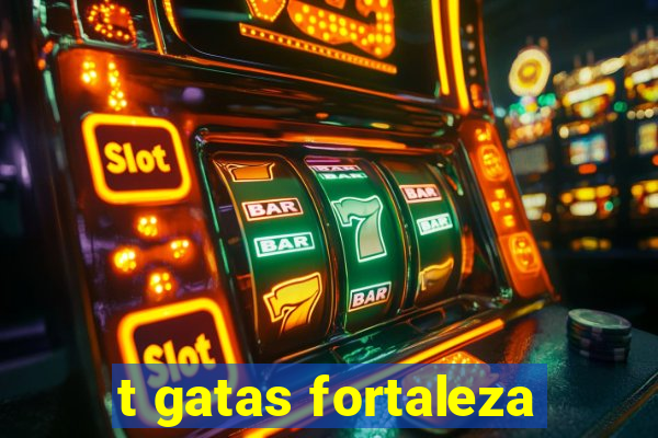 t gatas fortaleza