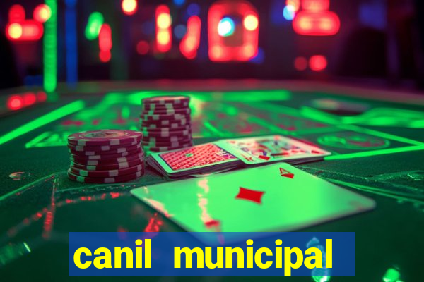 canil municipal porto alegre