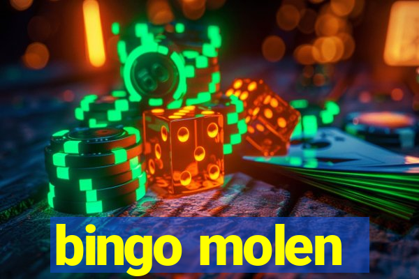 bingo molen