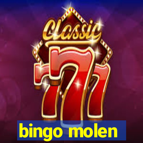 bingo molen