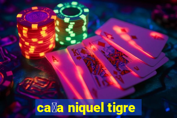 ca莽a niquel tigre