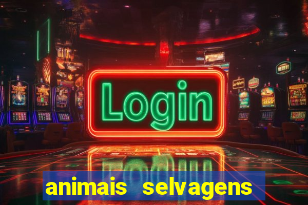 animais selvagens fotos e nomes