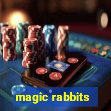 magic rabbits