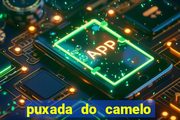 puxada do camelo jogo do bicho