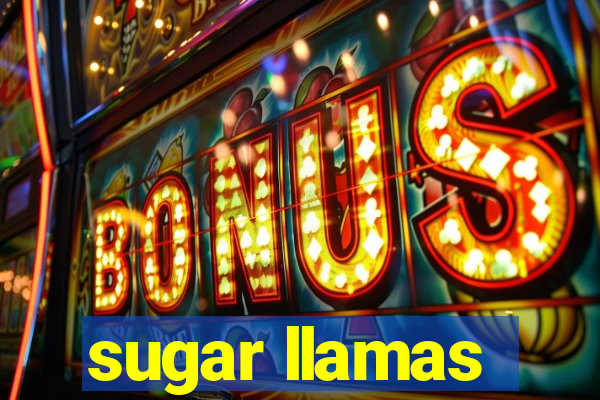 sugar llamas