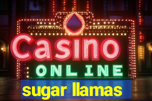 sugar llamas