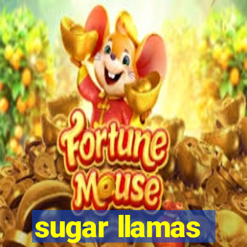 sugar llamas