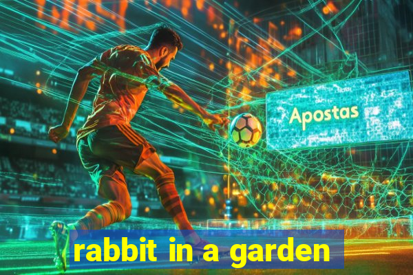 rabbit in a garden