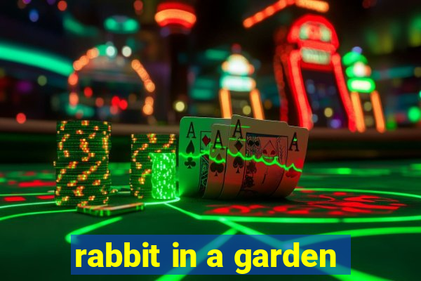 rabbit in a garden