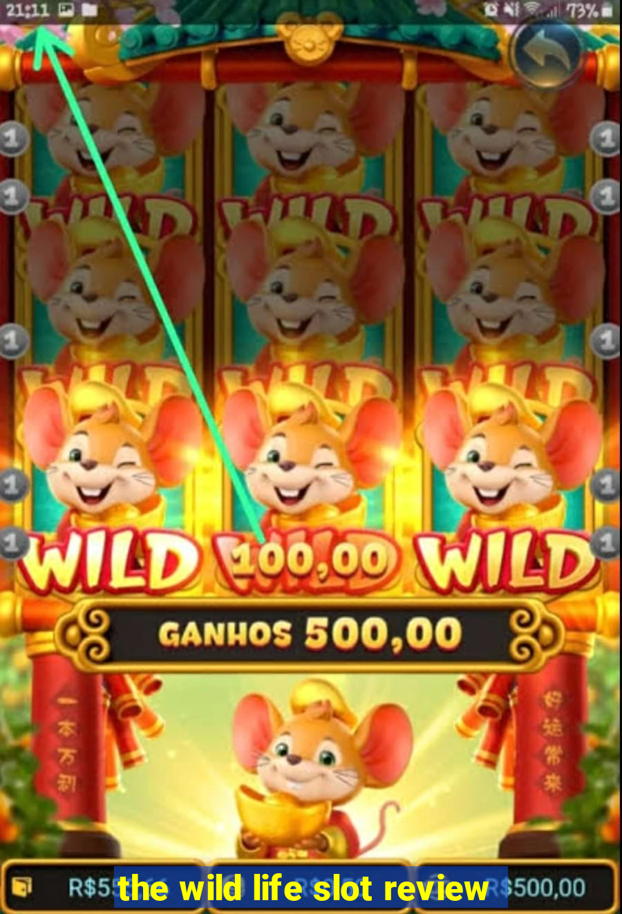 the wild life slot review