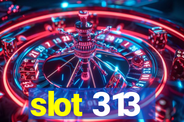 slot 313