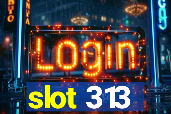 slot 313