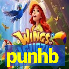 punhb