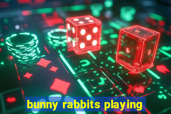 bunny rabbits playing